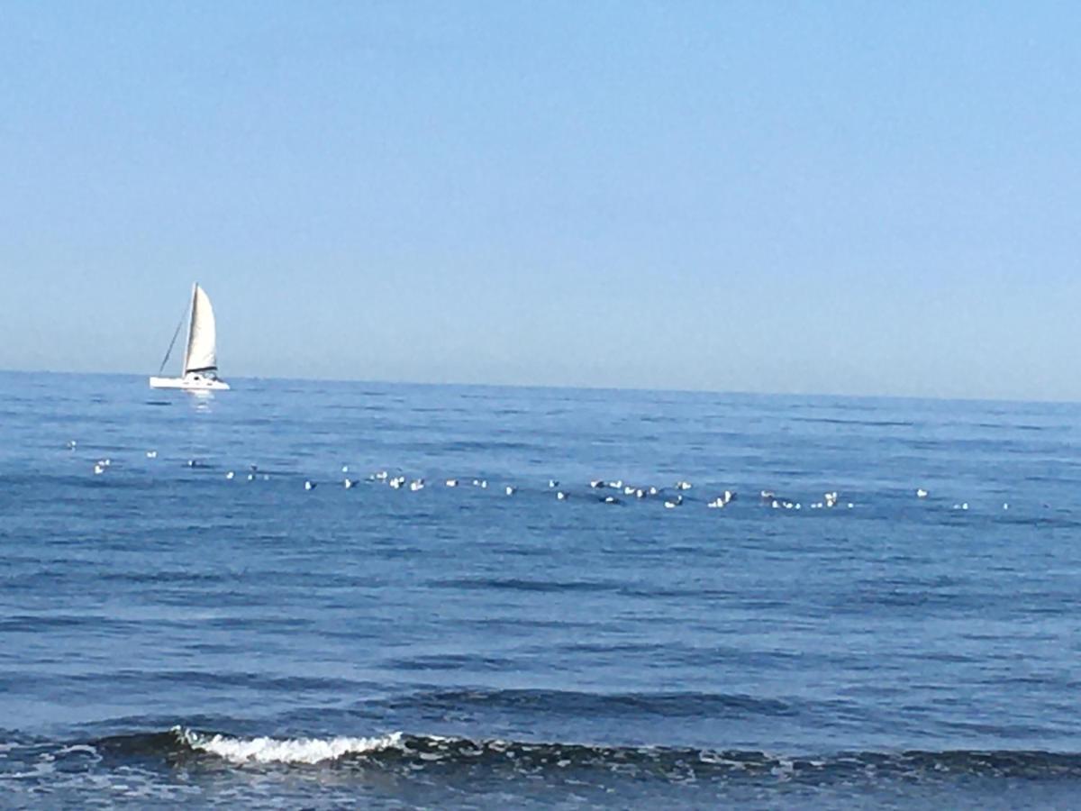 La Mouette Bleue Maison De Ville Individuelle Et Climatisee マルティーグ エクステリア 写真